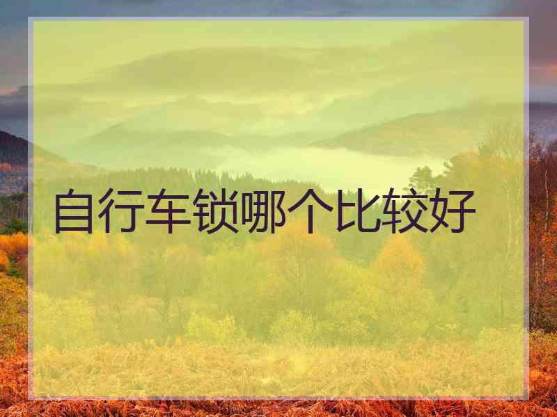 自行车锁哪个比较好
