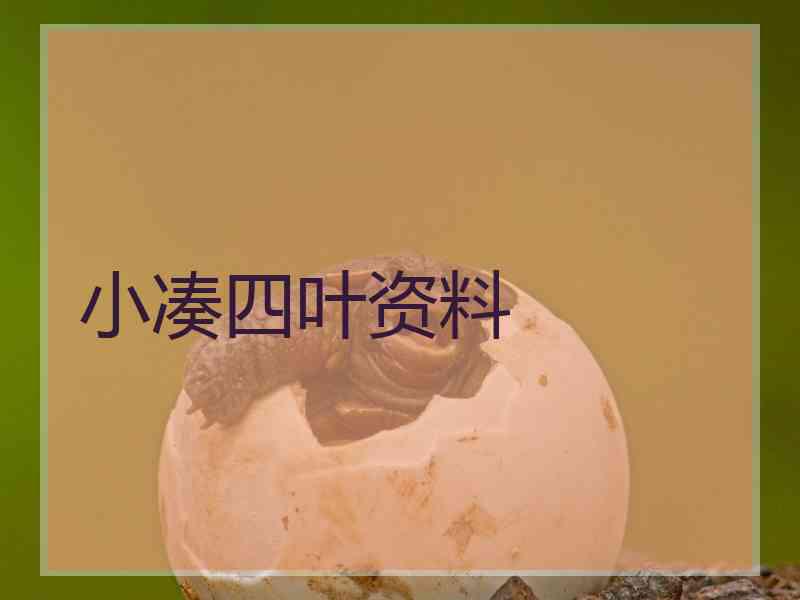 小凑四叶资料