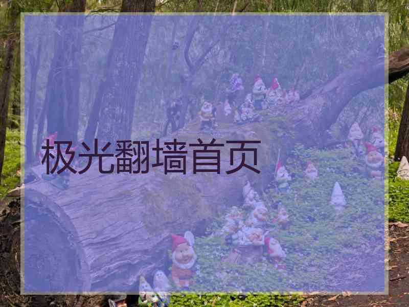 极光翻墙首页
