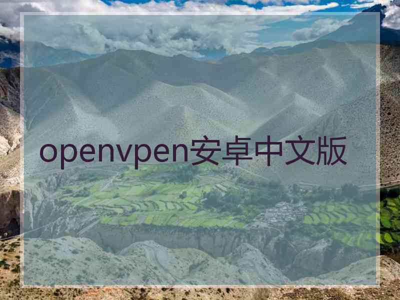 openvpen安卓中文版