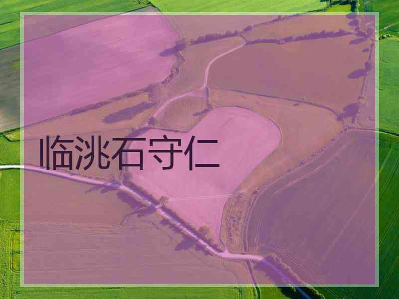 临洮石守仁