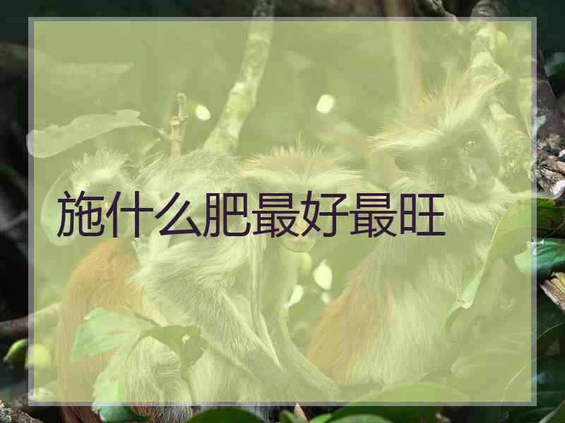 施什么肥最好最旺