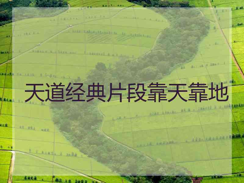 天道经典片段靠天靠地
