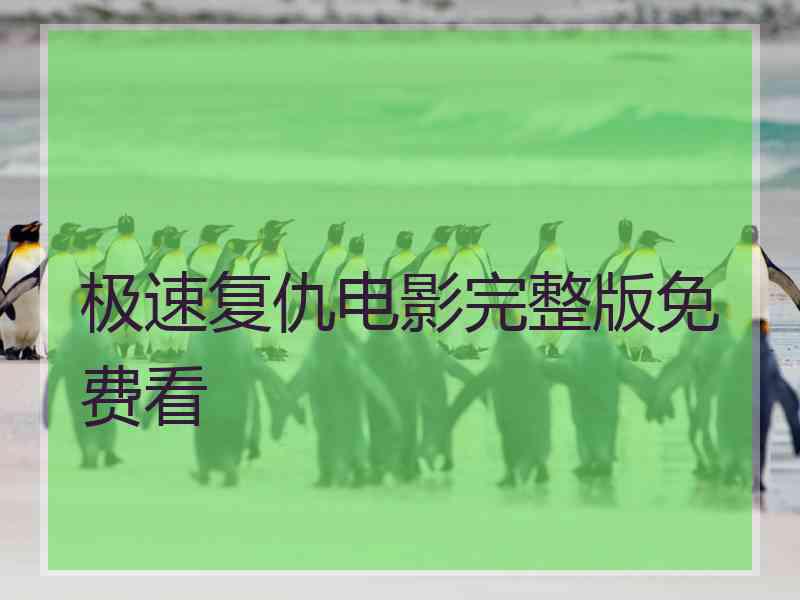 极速复仇电影完整版免费看