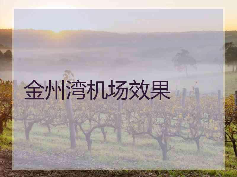 金州湾机场效果