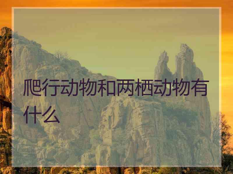 爬行动物和两栖动物有什么