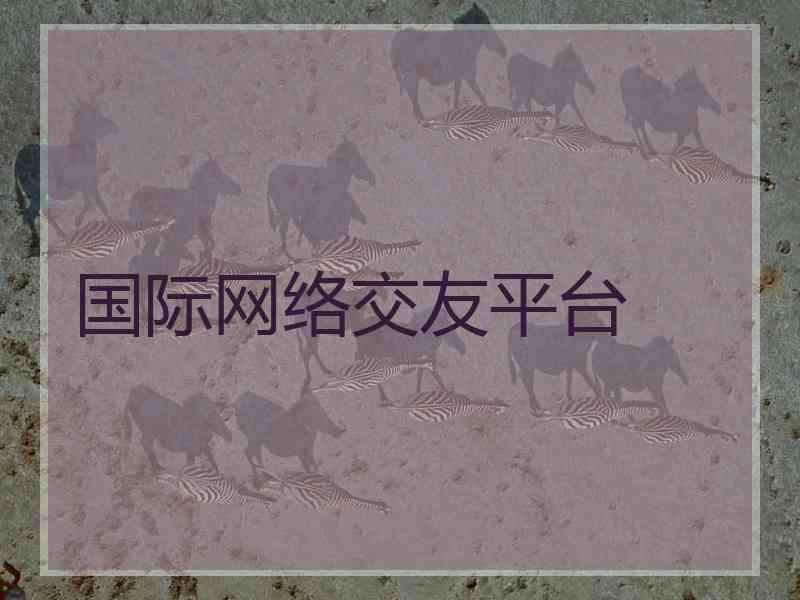 国际网络交友平台