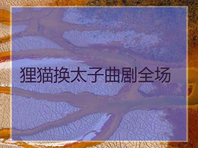 狸猫换太子曲剧全场