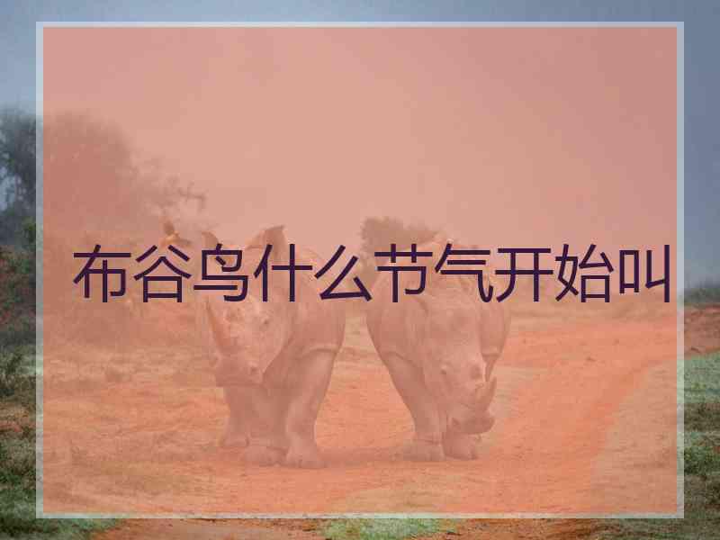 布谷鸟什么节气开始叫