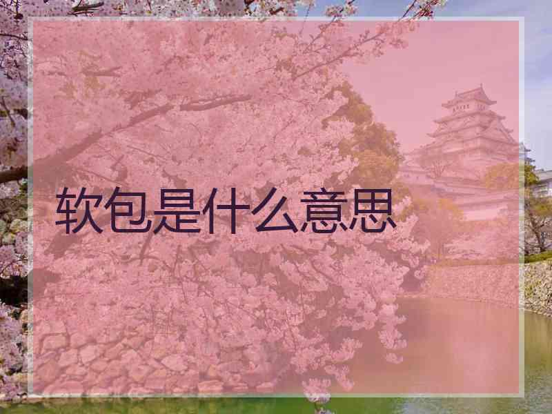软包是什么意思
