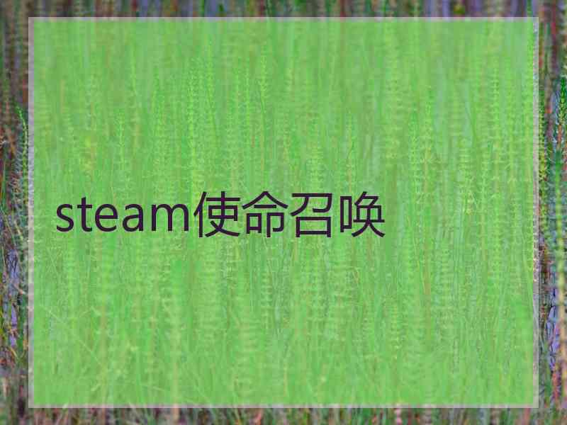 steam使命召唤