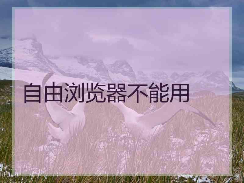 自由浏览器不能用