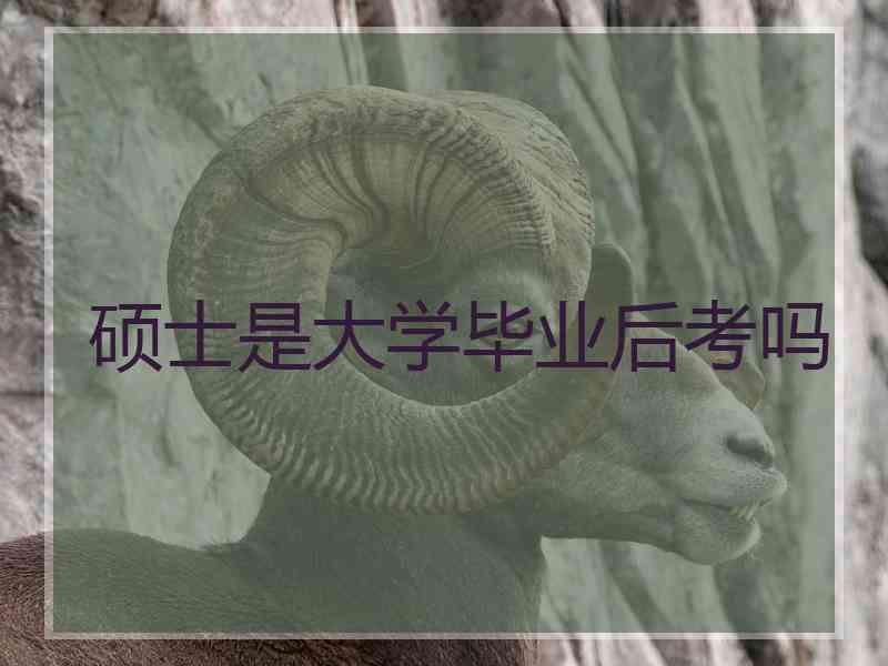 硕士是大学毕业后考吗