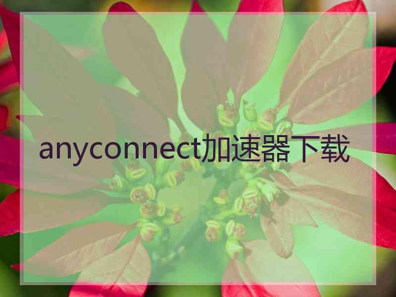 anyconnect加速器下载