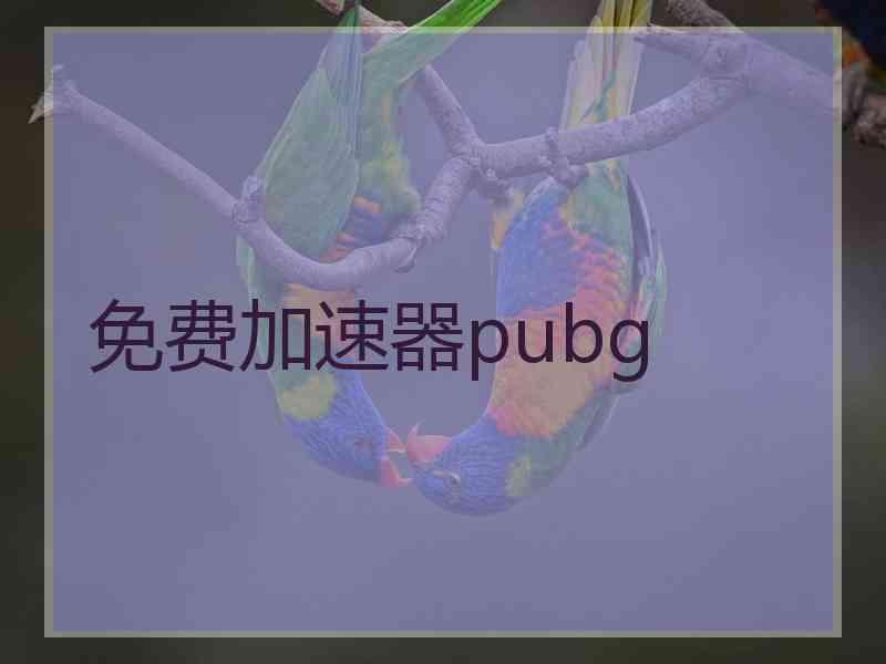 免费加速器pubg