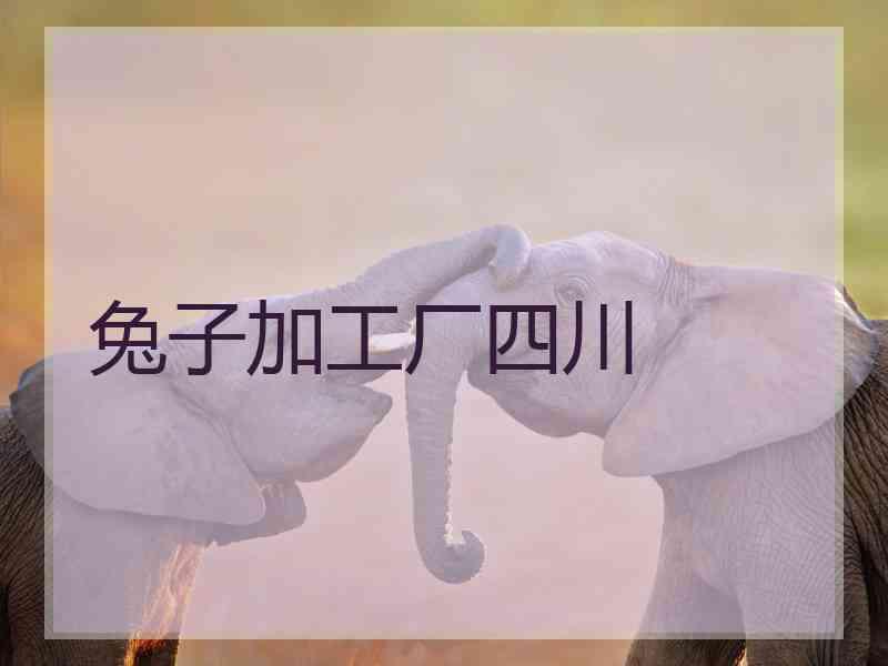 兔子加工厂四川