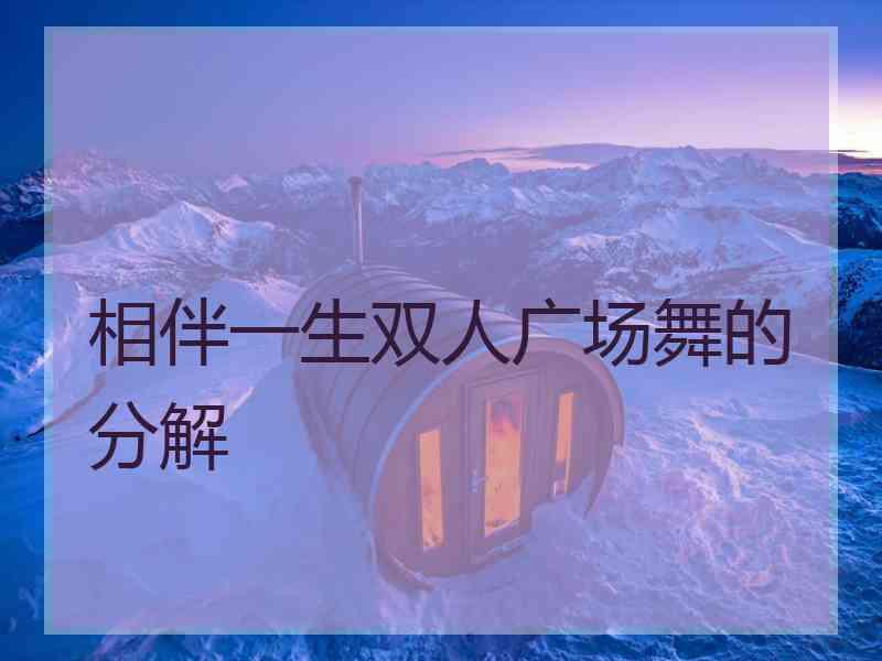 相伴一生双人广场舞的分解