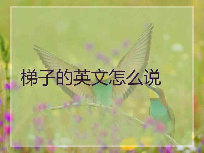 梯子的英文怎么说