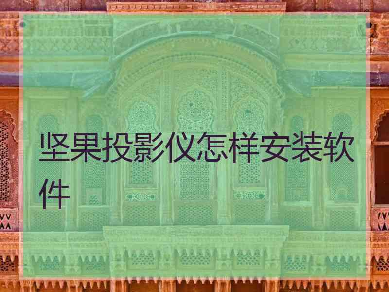 坚果投影仪怎样安装软件