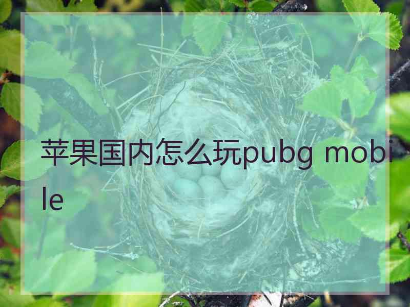 苹果国内怎么玩pubg mobile