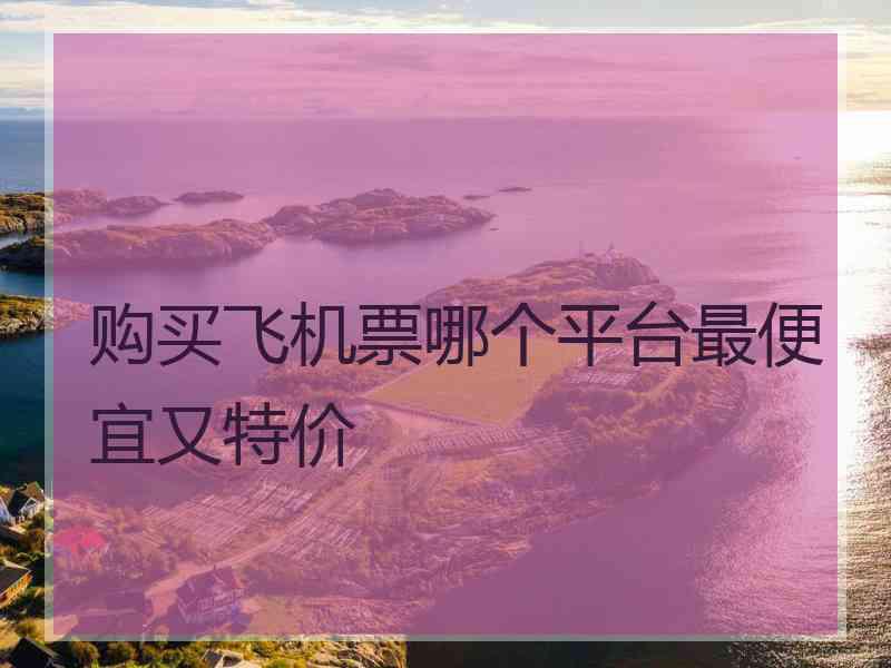 购买飞机票哪个平台最便宜又特价