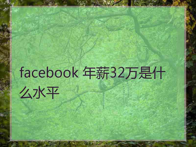 facebook 年薪32万是什么水平