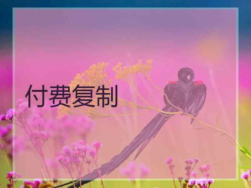 付费复制