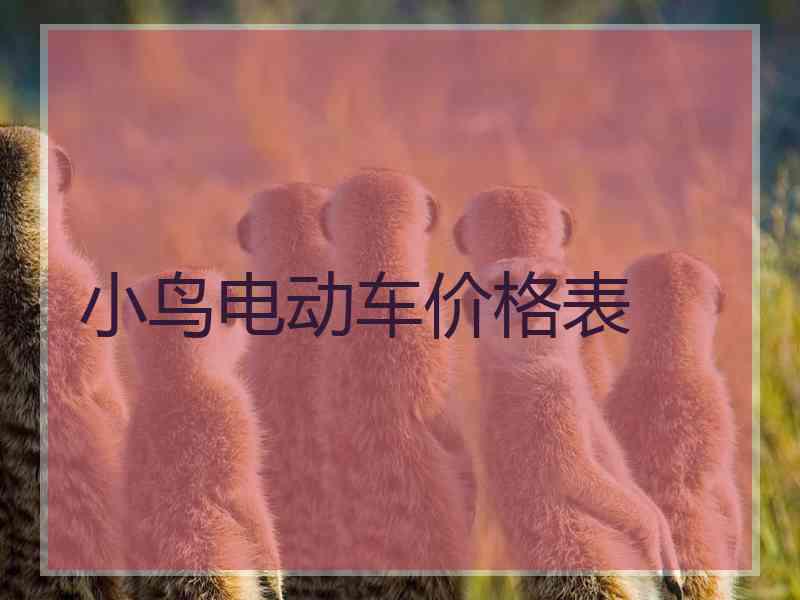 小鸟电动车价格表