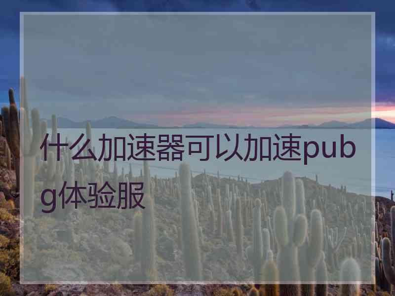 什么加速器可以加速pubg体验服