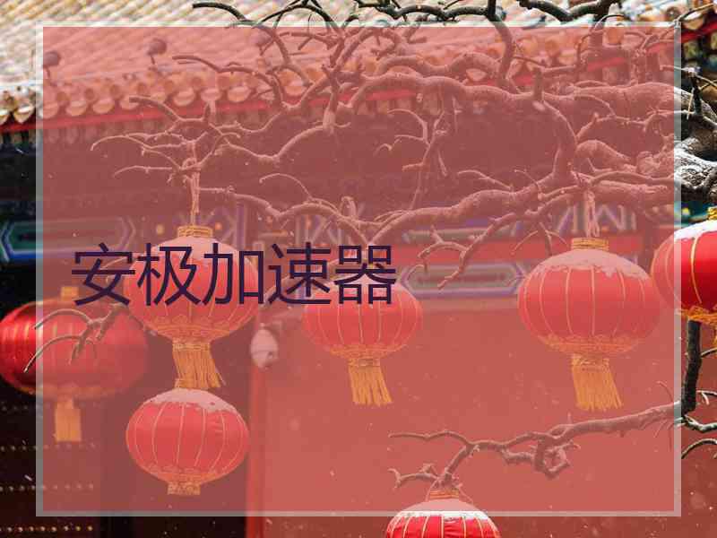 安极加速器