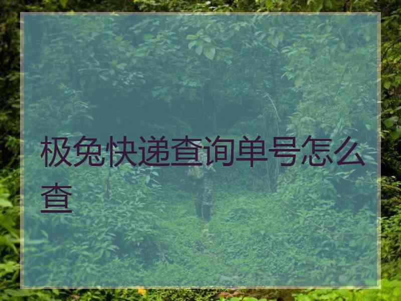 极兔快递查询单号怎么查