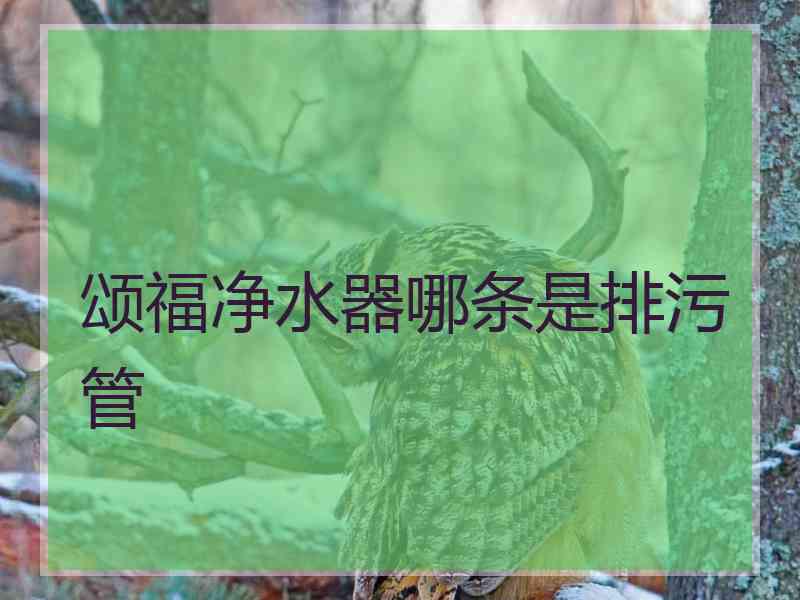 颂福净水器哪条是排污管
