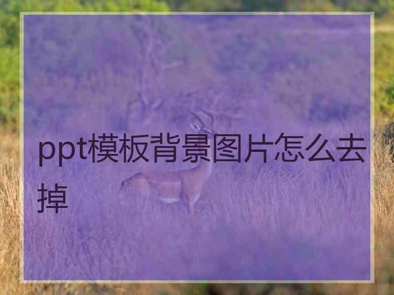 ppt模板背景图片怎么去掉