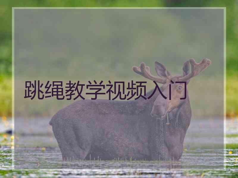跳绳教学视频入门