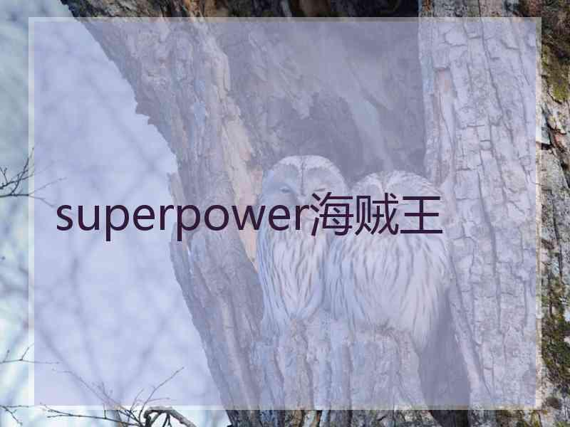superpower海贼王