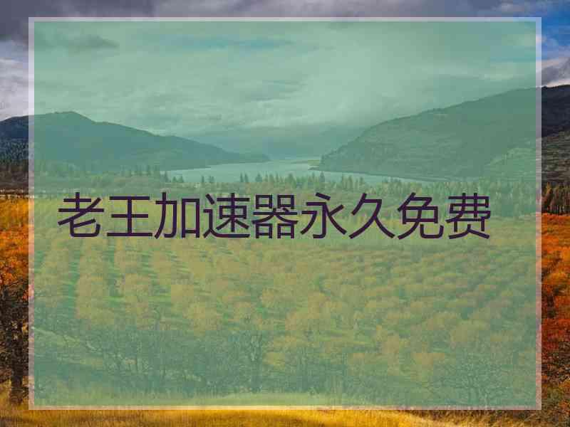 老王加速器永久免费