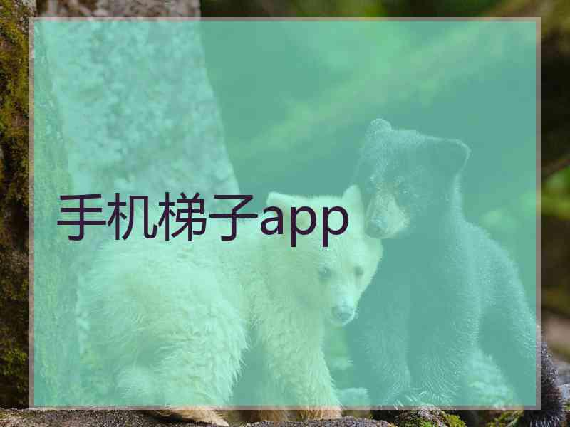 手机梯子app