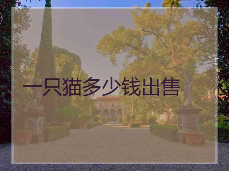 一只猫多少钱出售