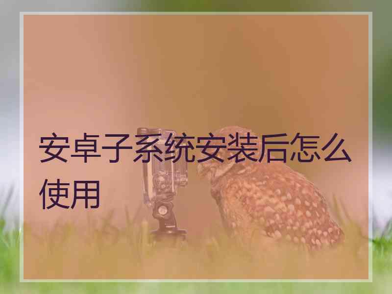 安卓子系统安装后怎么使用