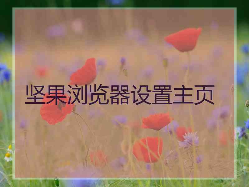 坚果浏览器设置主页