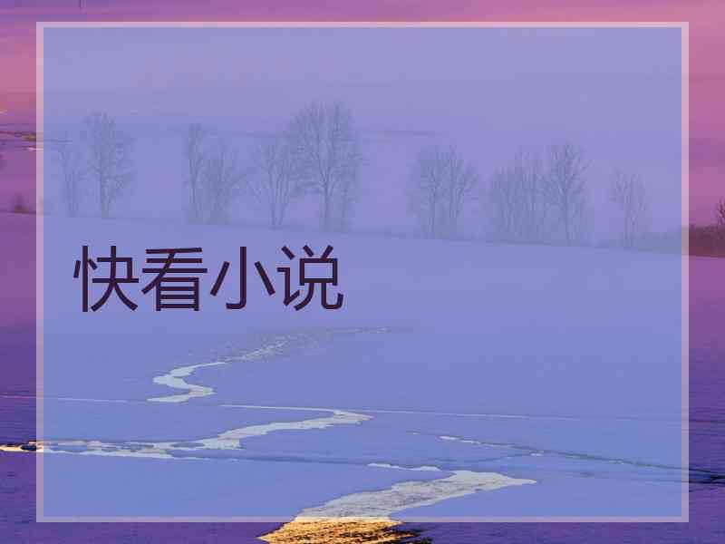 快看小说