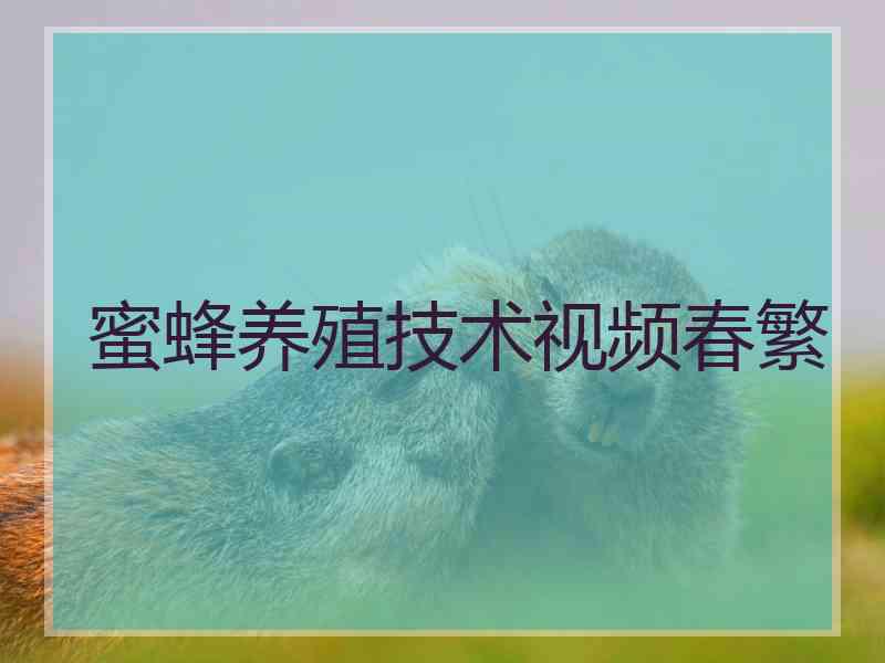 蜜蜂养殖技术视频春繁