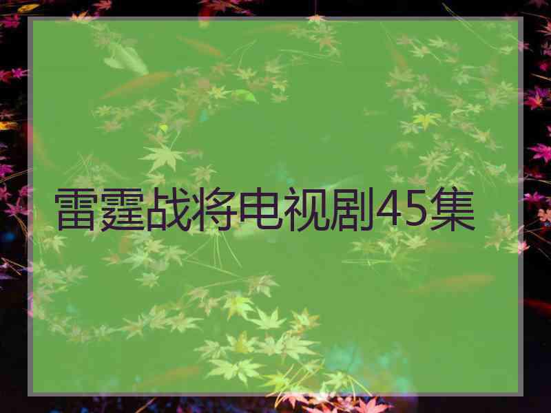 雷霆战将电视剧45集