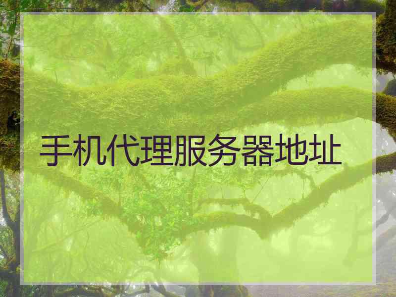 手机代理服务器地址