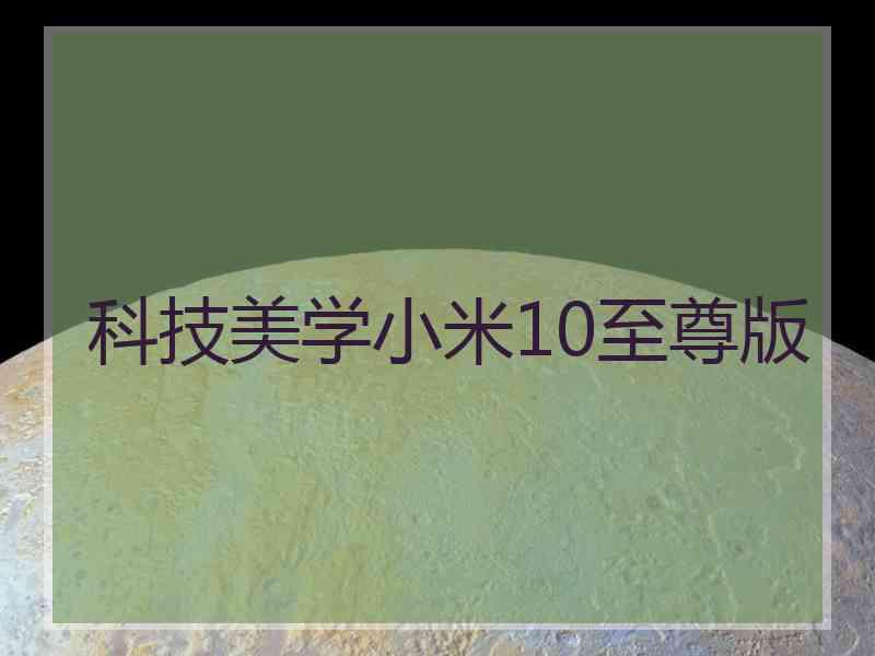 科技美学小米10至尊版