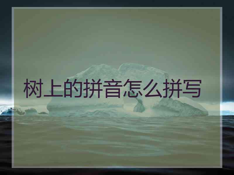 树上的拼音怎么拼写