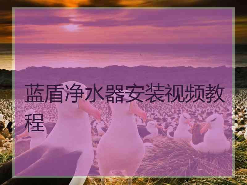 蓝盾净水器安装视频教程