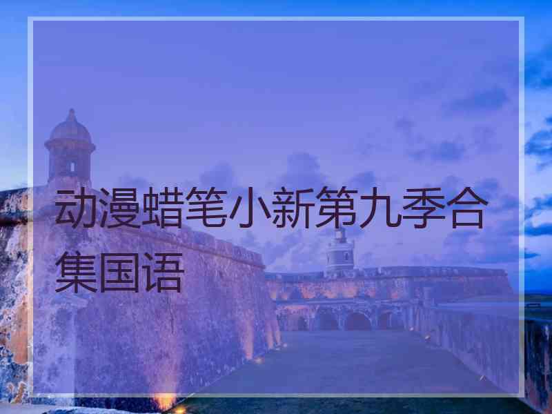 动漫蜡笔小新第九季合集国语