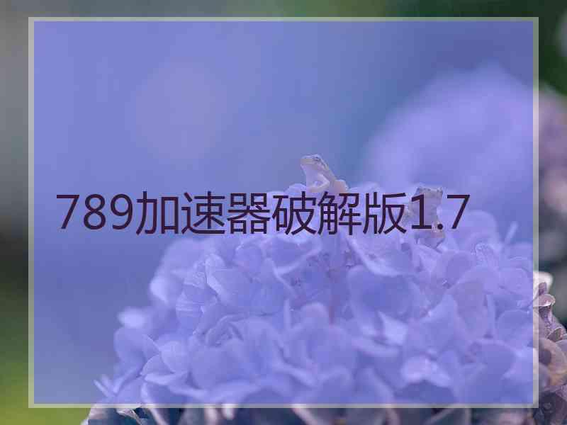 789加速器破解版1.7