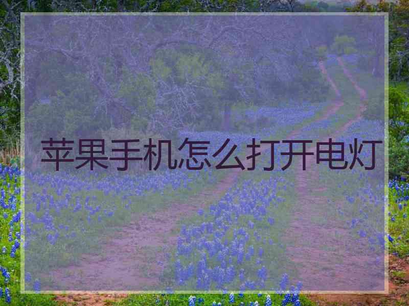 苹果手机怎么打开电灯